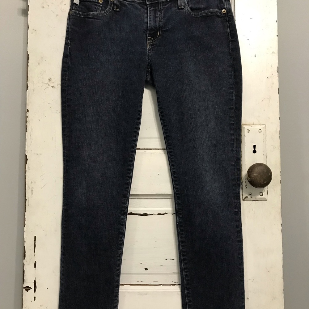 Big Star 1974 Jealousy Skinny Dark Wash